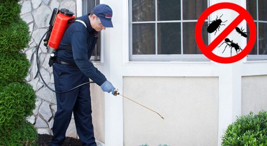 Çankaya Karınca İlaçlama böcek ilaçlama ve haşere kontrolü — ilaclama-tr.com